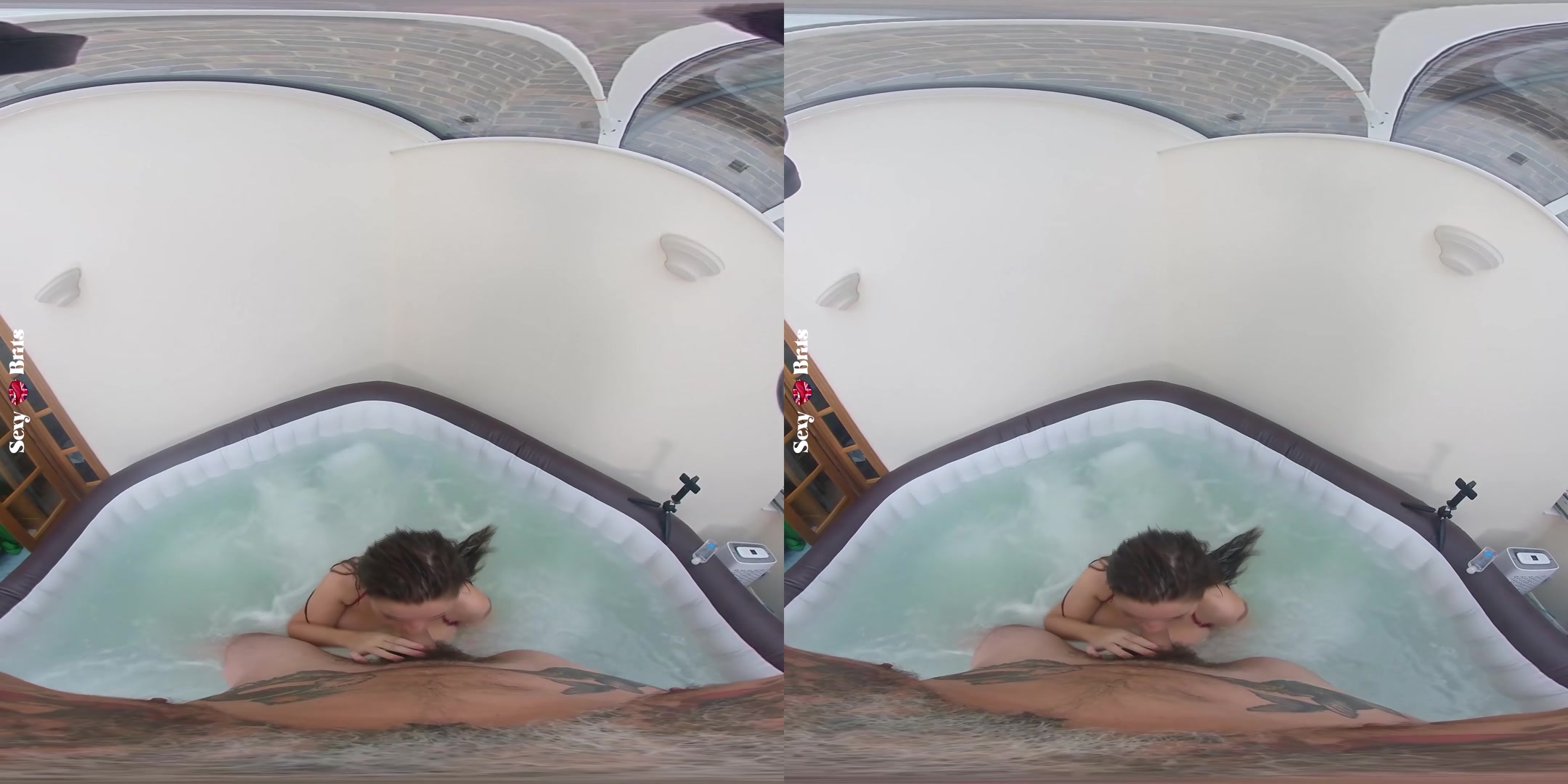 How to Bathe Your Aussie I - perVRt