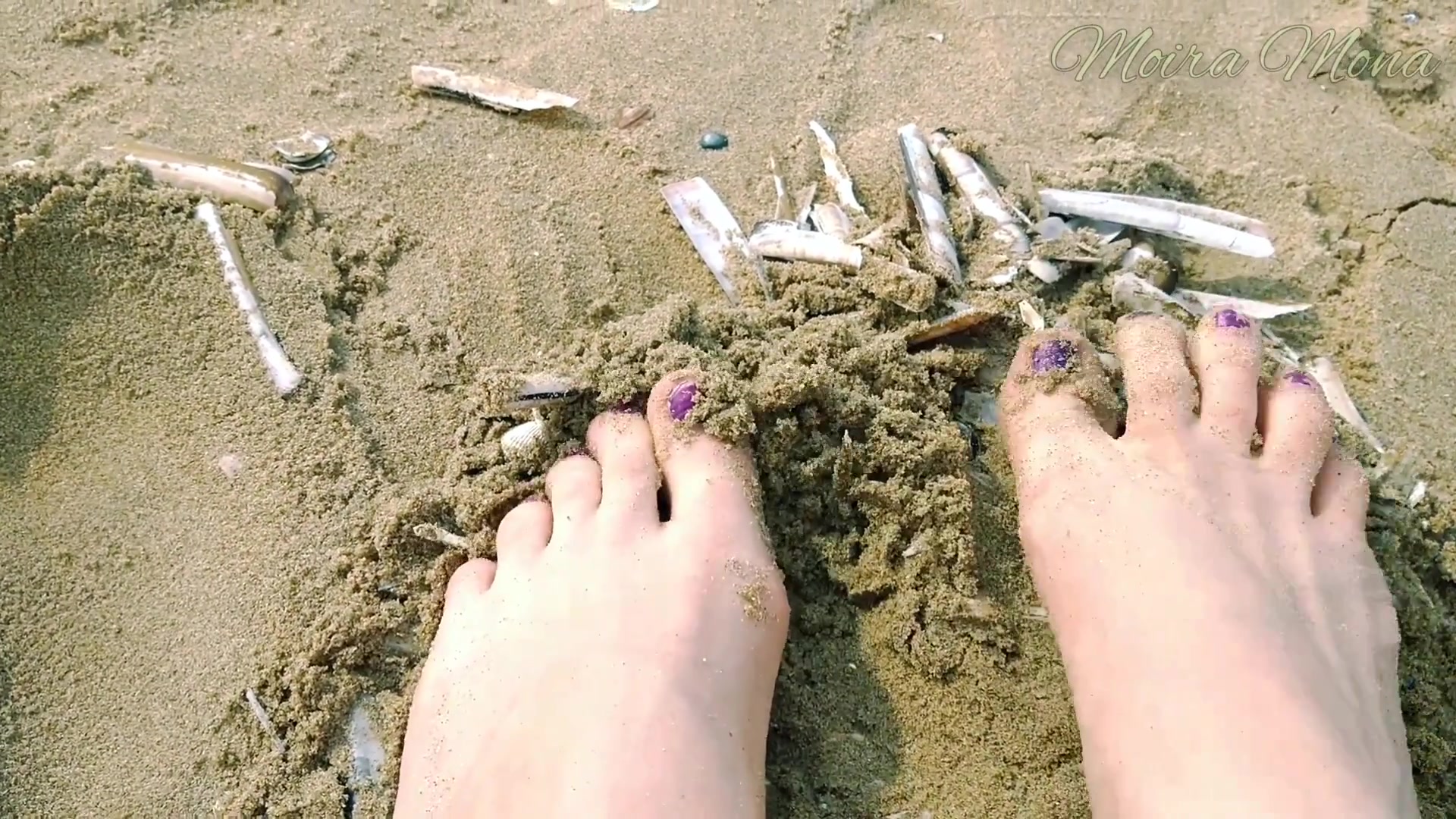 Sand And Shells Under My Feet