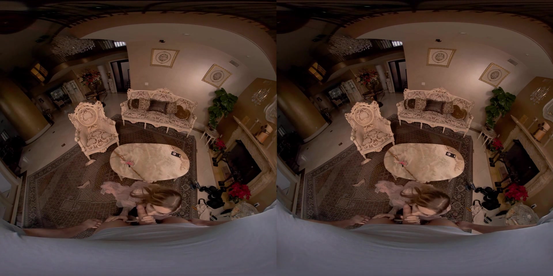 Penny Archer in Fixer Upper VR Porn Video - VRBangers