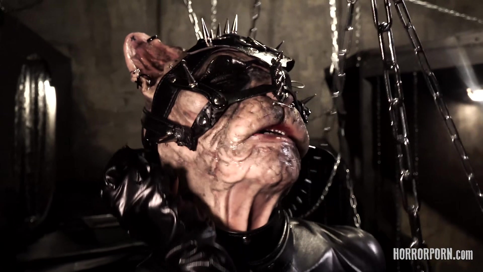 HorrorPorn - The Fetish Cougar