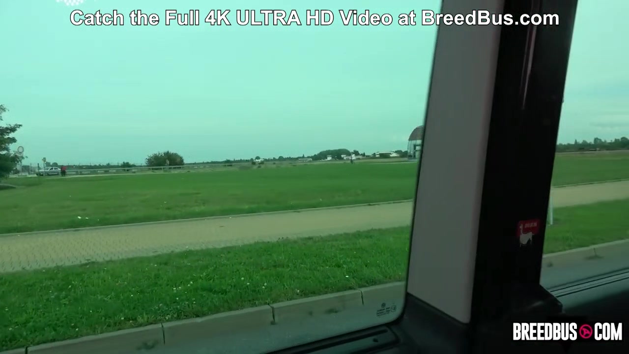How to get a Free Ride - Breedbus