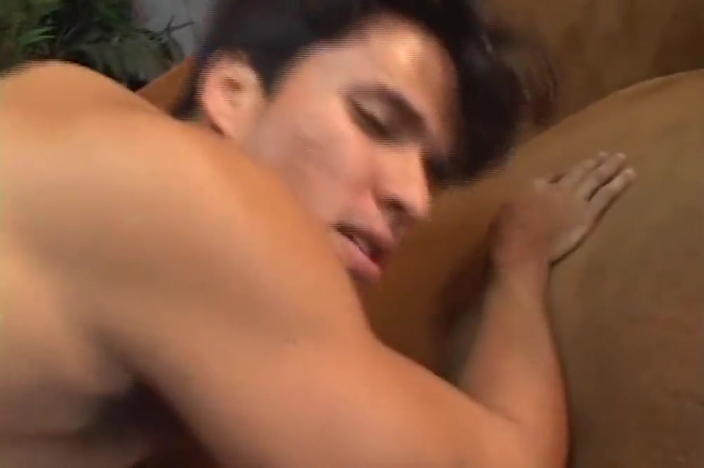 Big Cock And Anal In The Trans World