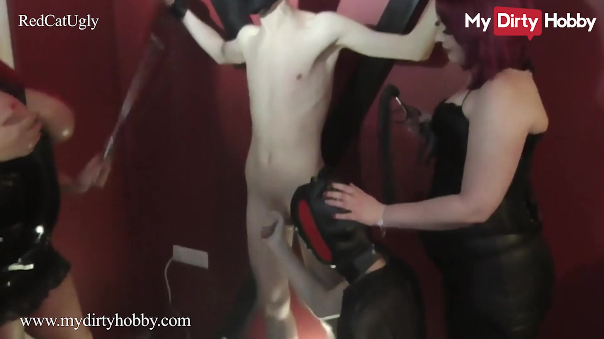 MyDirtyHobby - Domme RedCatUgly