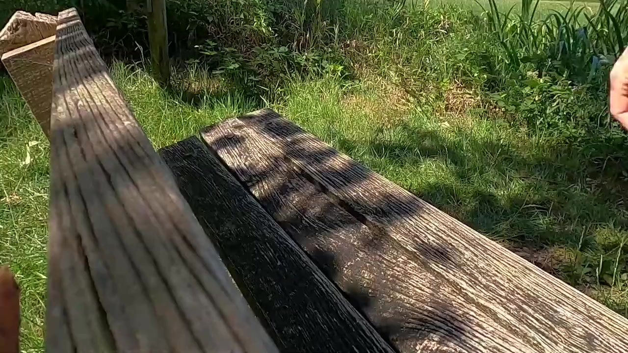 Im Walking In Nature And Taking My Clothes Off