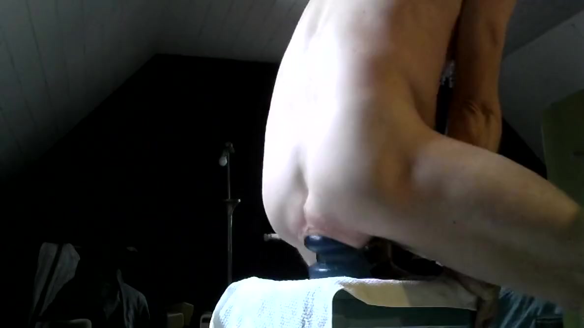 Little Training Session With My Blue Plug