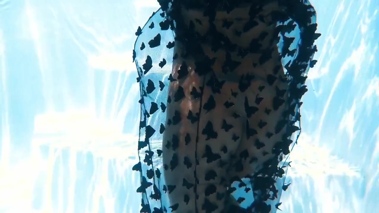 A Woman Floats In A Butterfly-adorned Mesh Dress