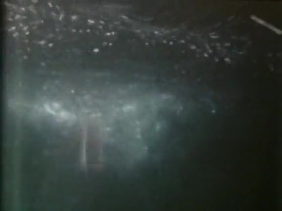 Desiree Cousteau in vintage sex movie