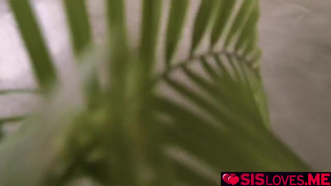 Stepbro Storkes His Cock Inside Adriana