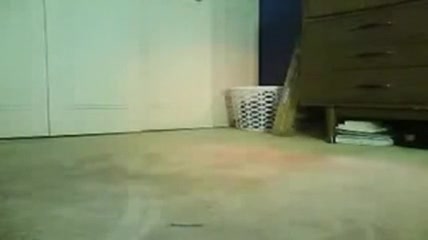 Object bate