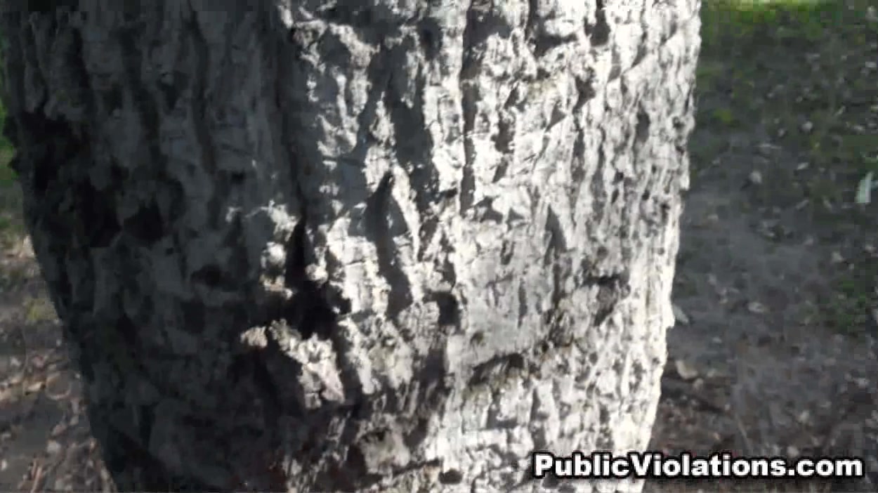 Tree Hugger Public Fornication