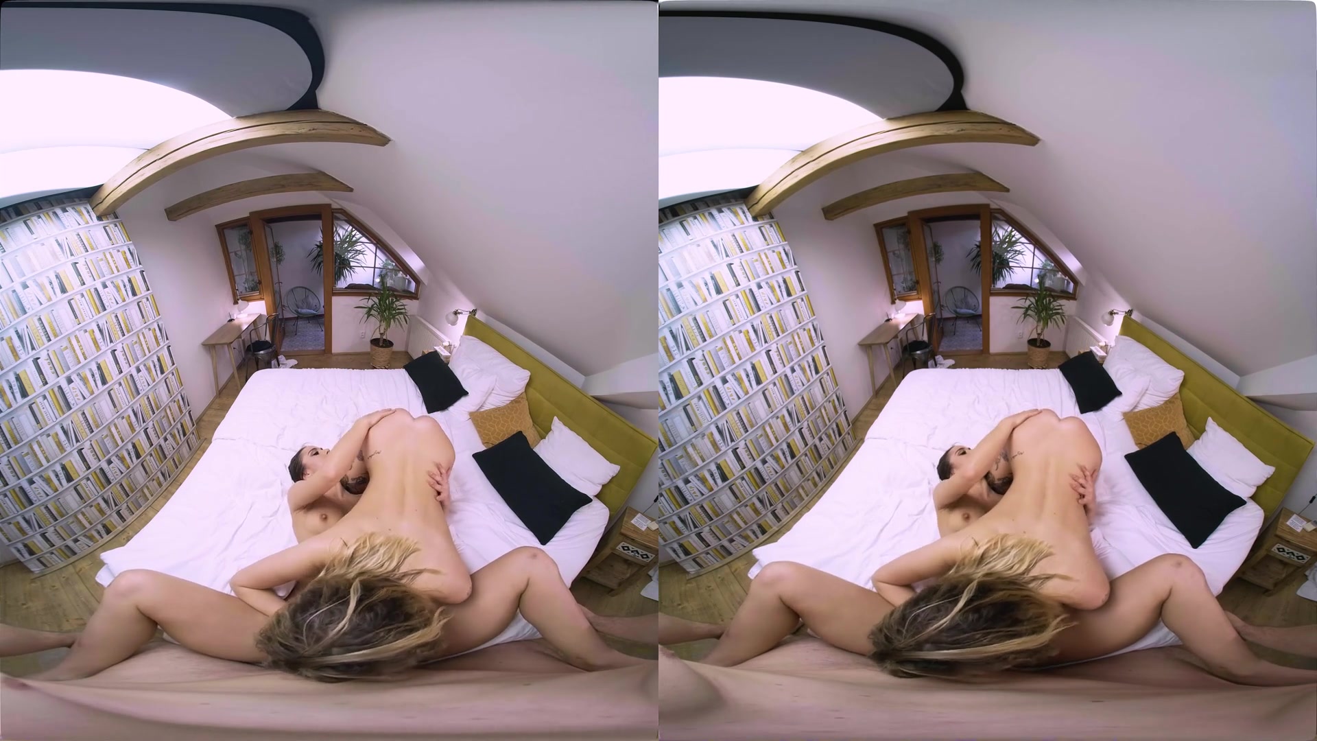 Party of Three - VirtualRealPorn