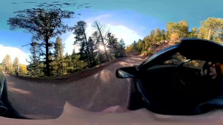 Testing Out A Bad Dragon Dildo. 360VR 