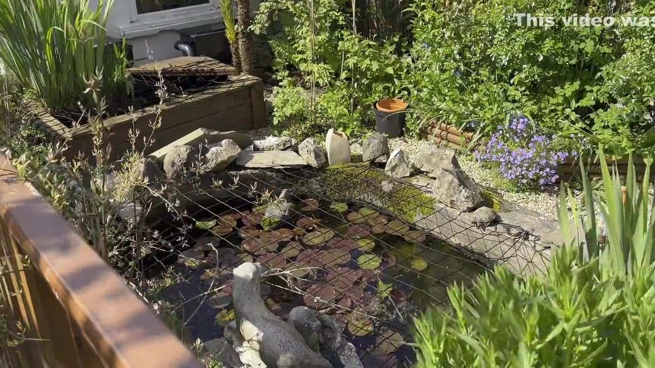 My Naked Gardening Tour With Wamgirlx