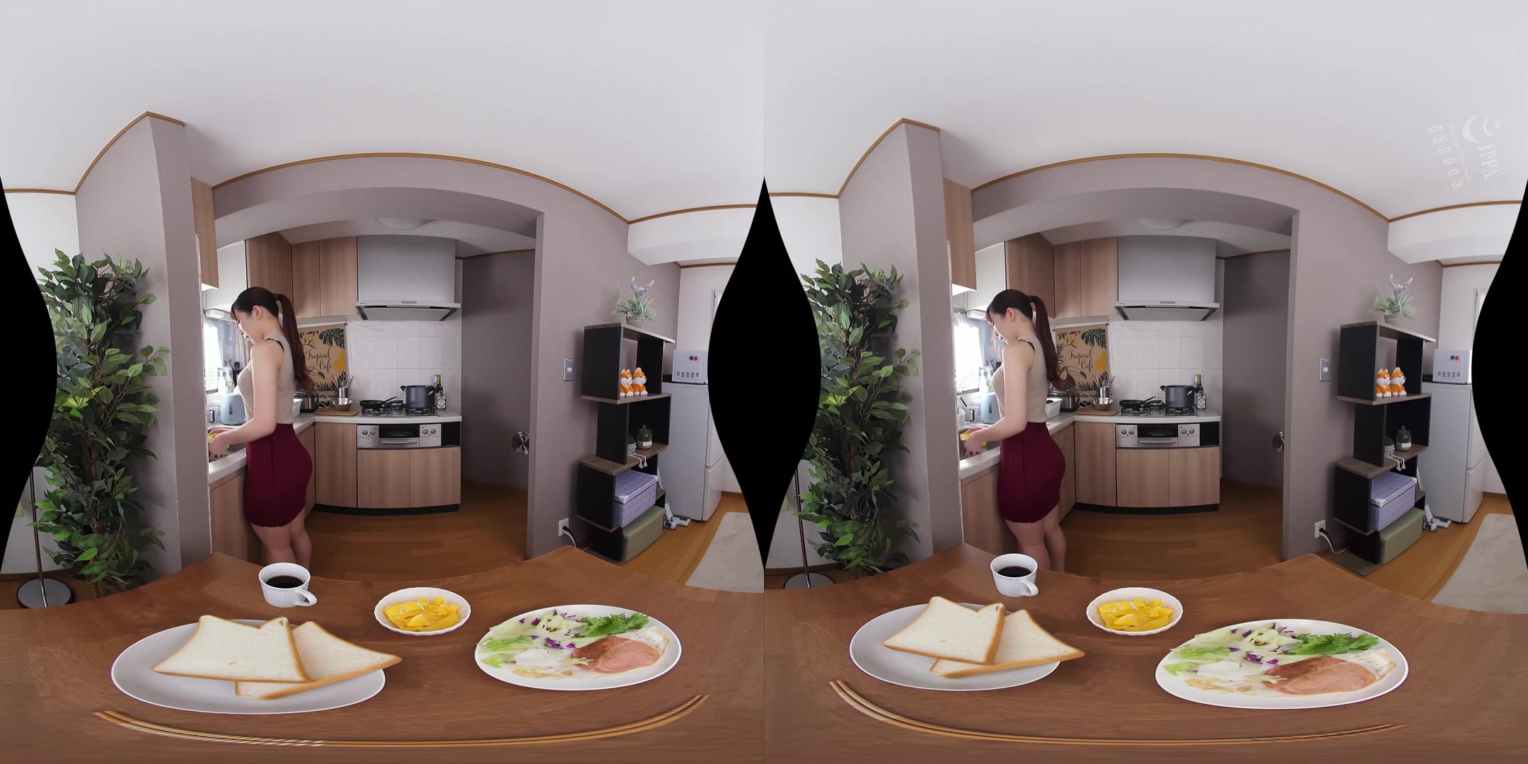 Erika Ozaki - Ceiling Angle Vr - Silent Sex With My Beautiful Wife