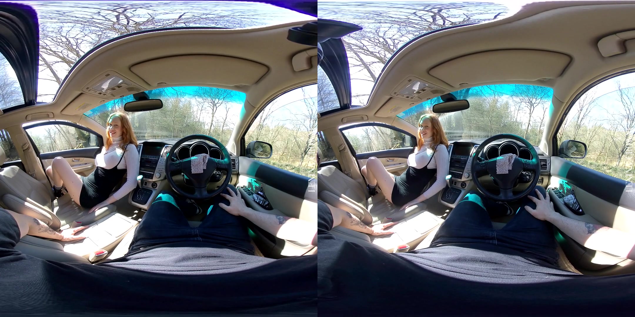Sucking Dick on a Sunday Drive