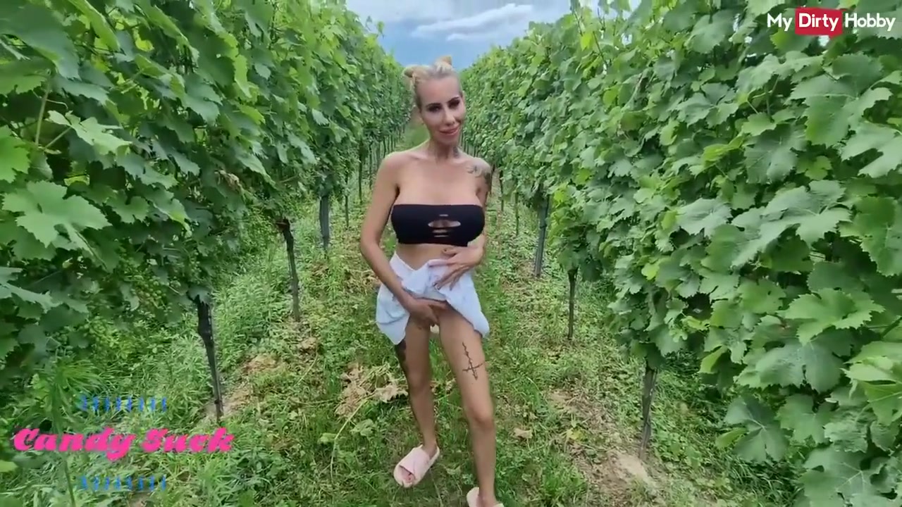 Sexy Ones - Featuring Sweet Ones Sexy Blonde Clip