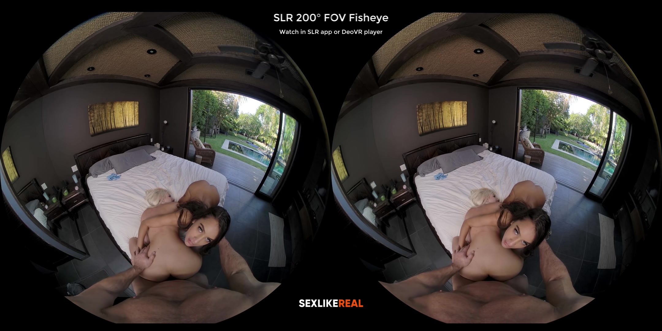 Pleasure Trip - SLROriginals