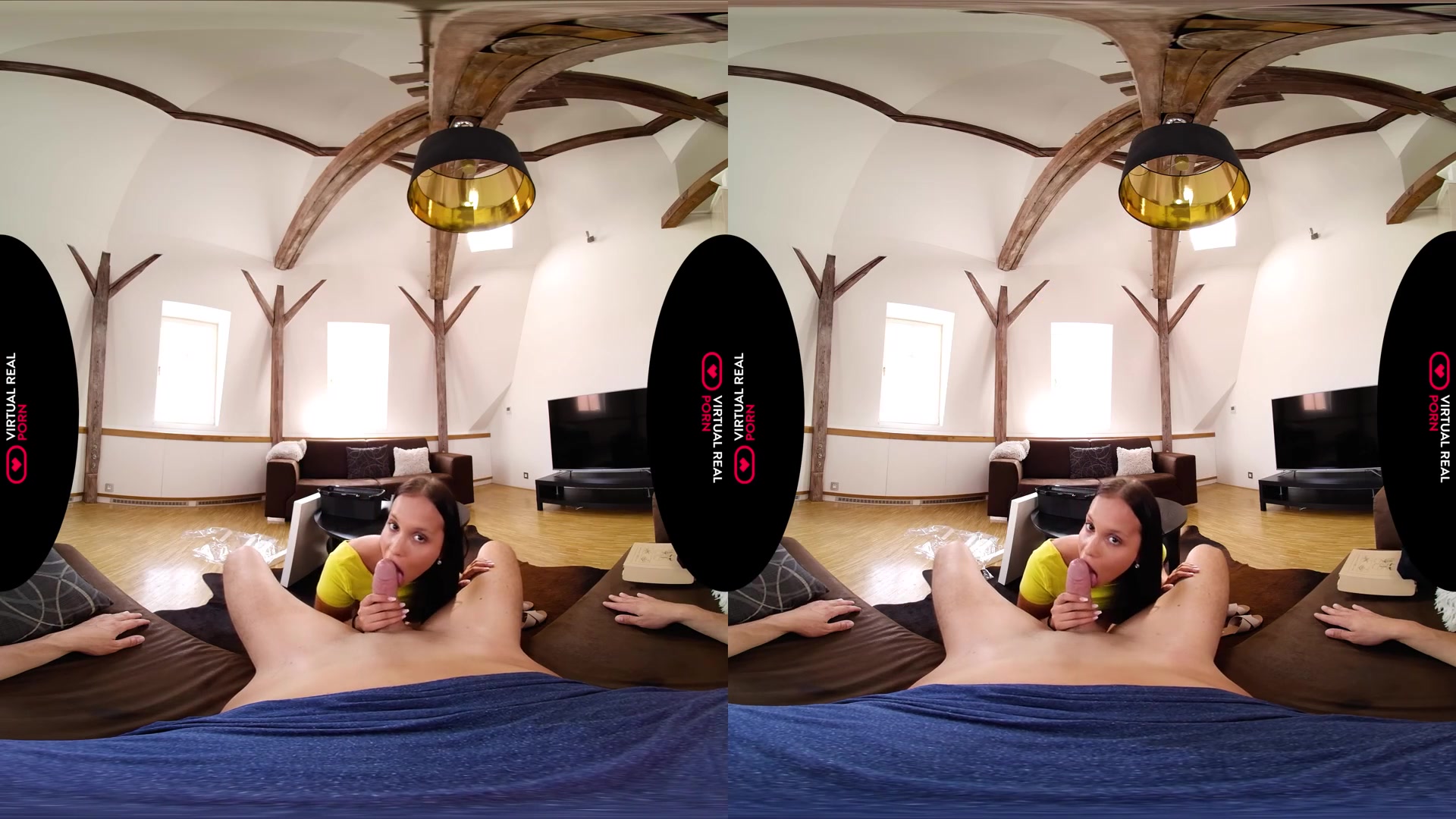 The Art of Seduction - VirtualRealPorn