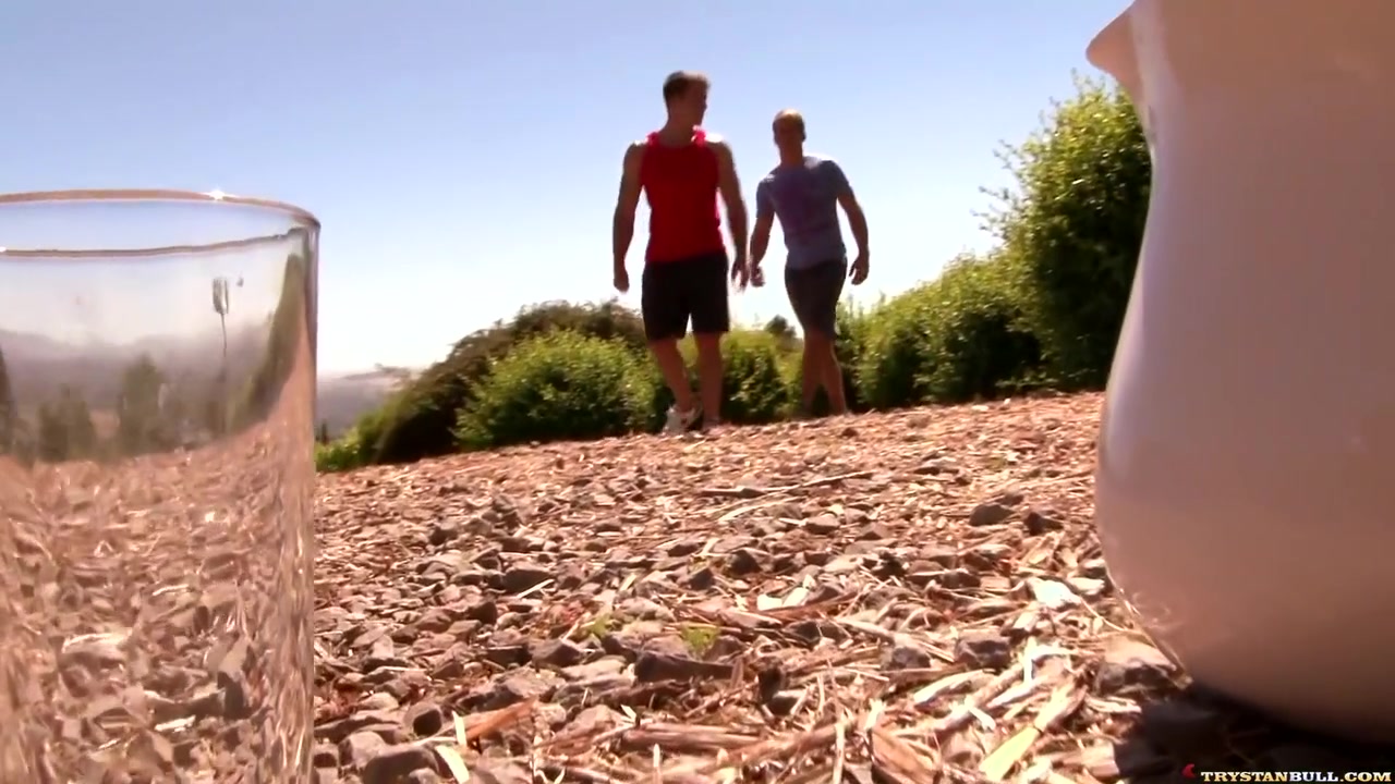 Trystan Bull And Brandon Lewis - A Stroll Through Pleasure