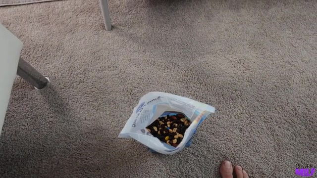 Stepmom Is A Clean Freak - S8:E6 - Brattymilf