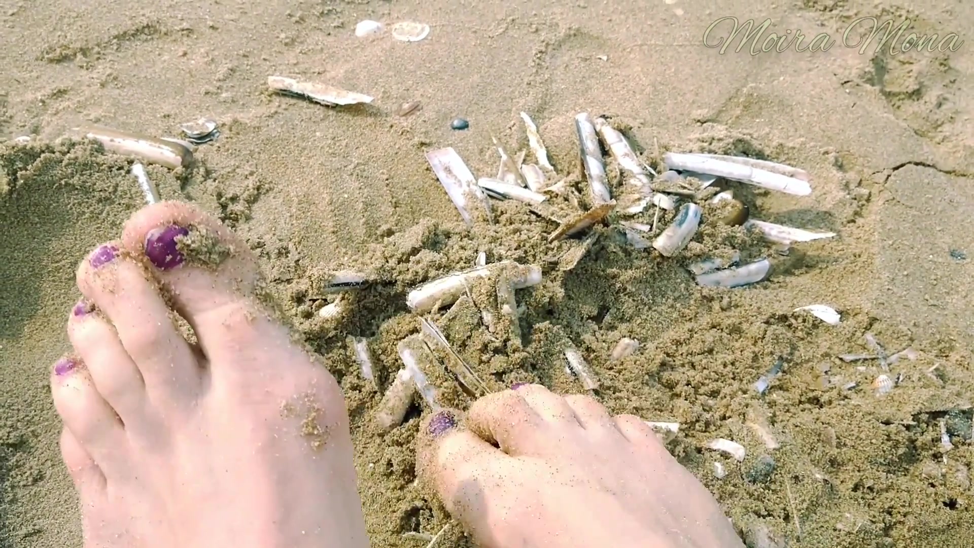 Sand And Shells Under My Feet