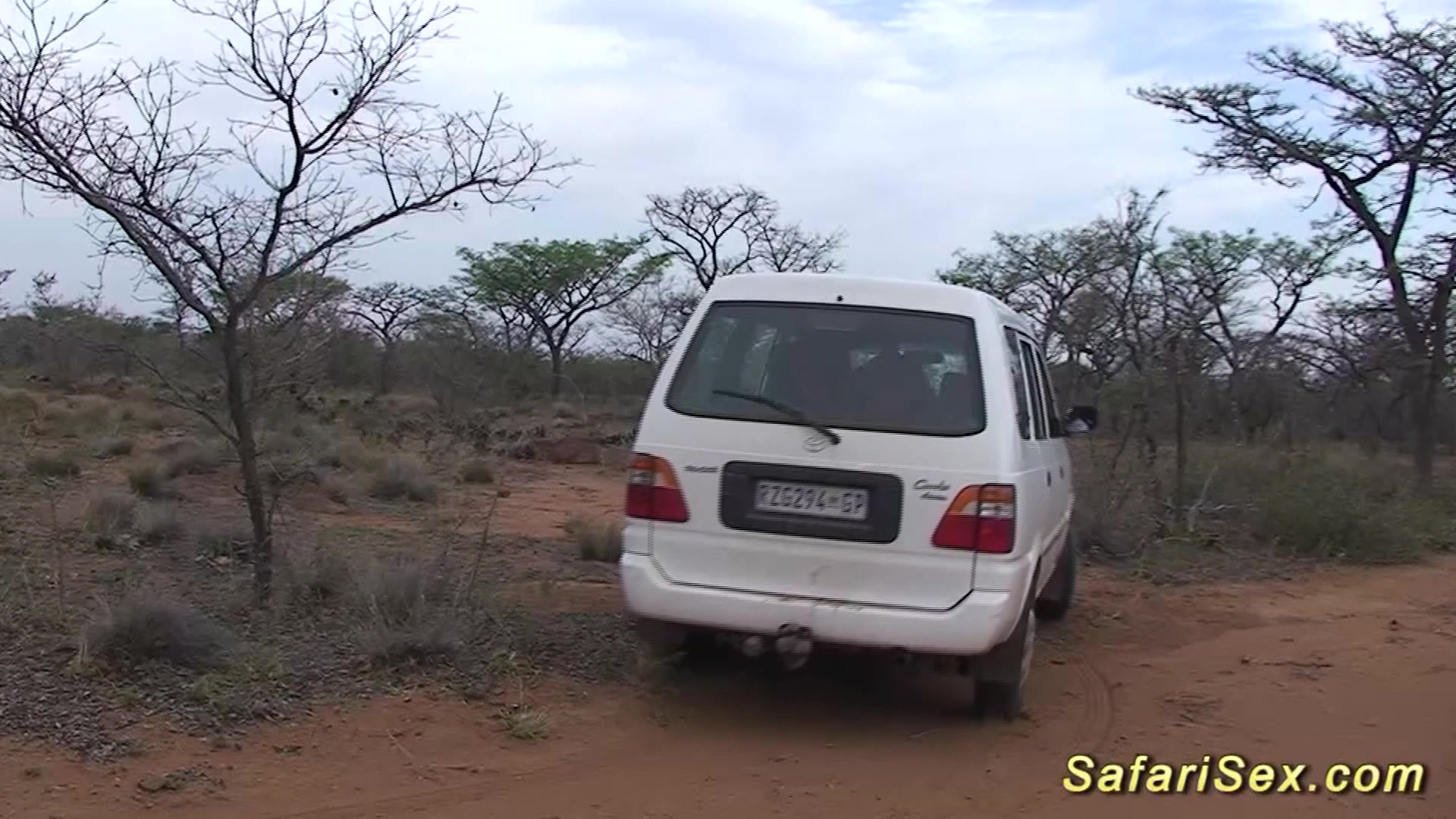 african safari groupsex fuck orgy