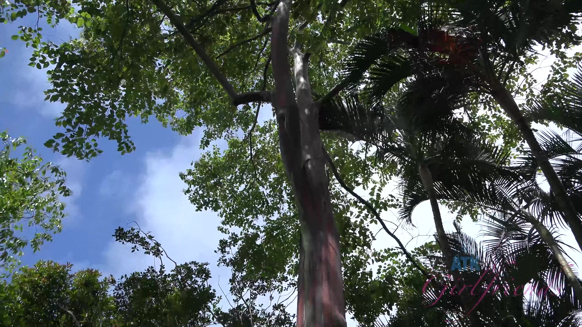 Virtual Vacation In Hawaii With Kristen Scott Part 4