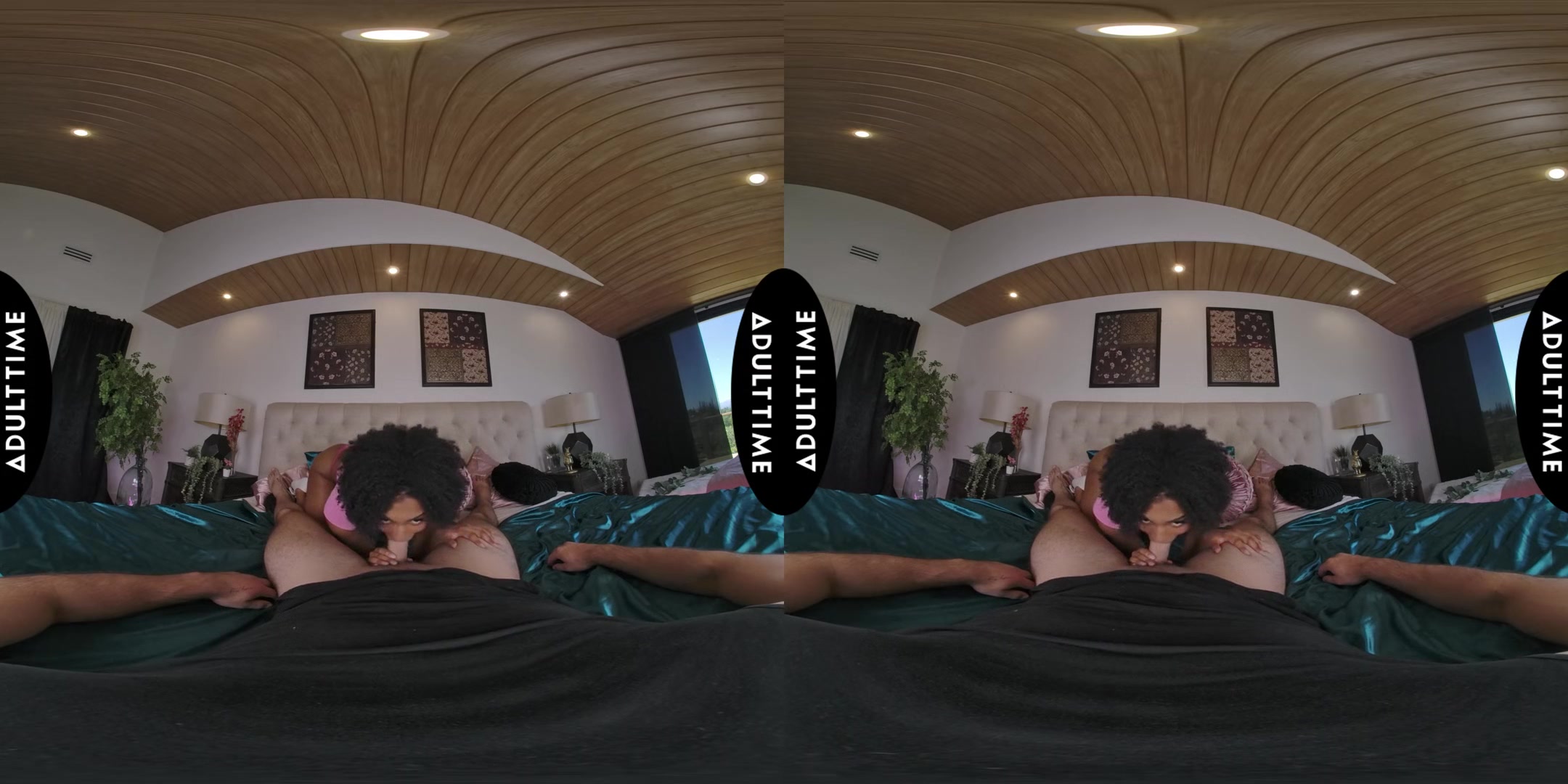 Up Close Vr With Addis Fouche