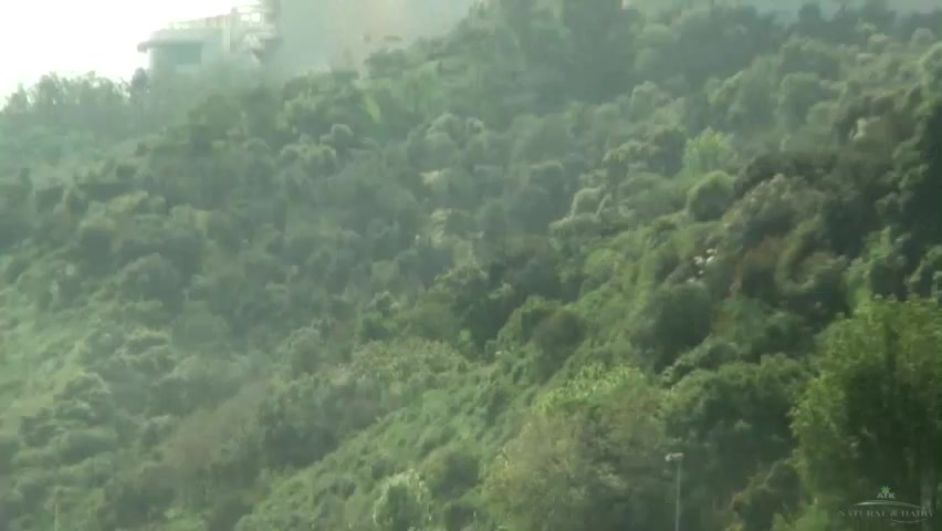 ATKGirlfriends video: Day in the life of: Sativa Verte