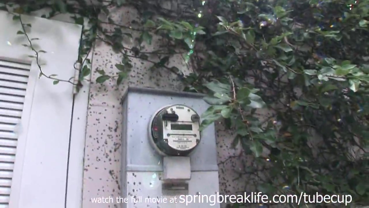SpringBreakLife Video: Cute Brunette Gets Naked In Public