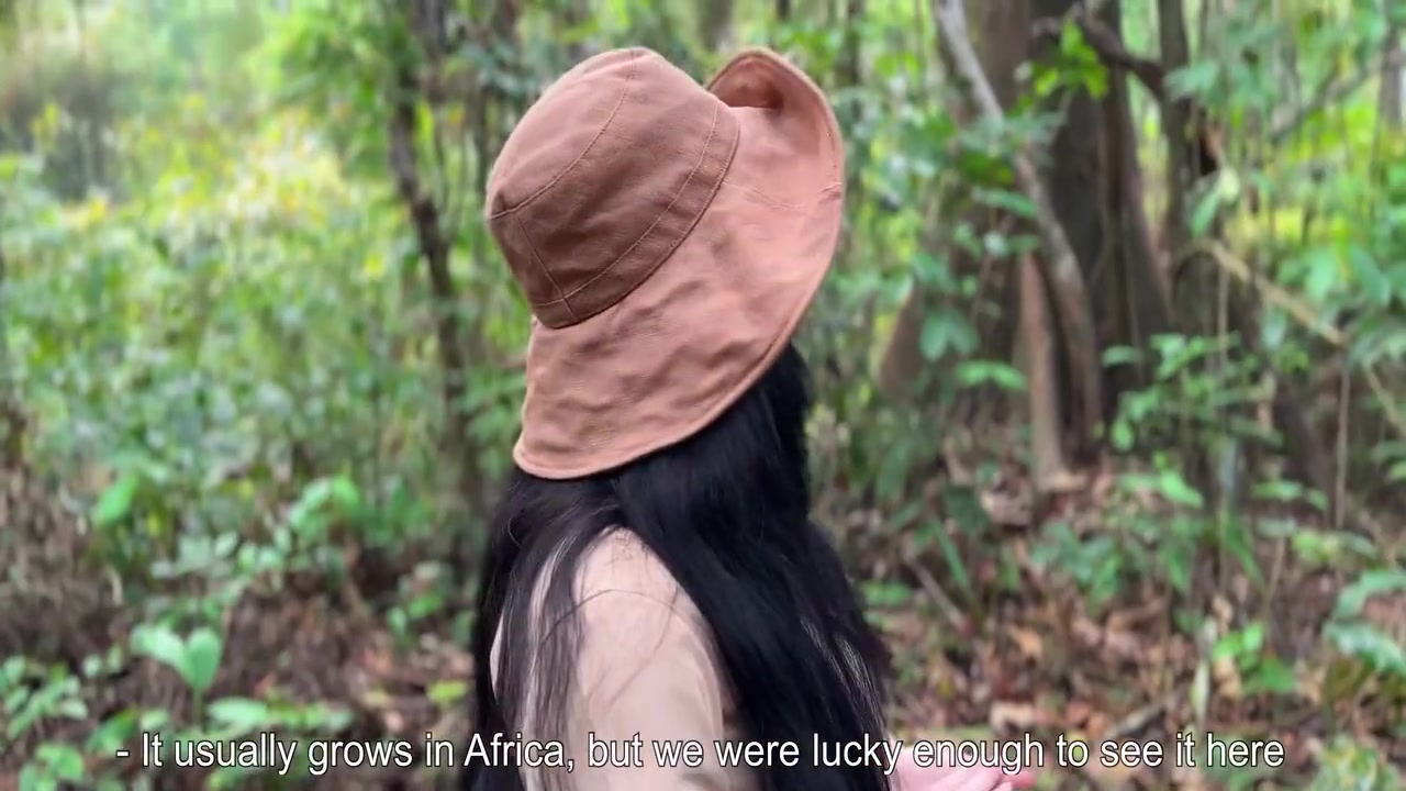 The Guide Sucked The Poison Out Of The Penis And Saved Her Life In Jungle Pov