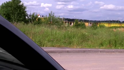 Angel sucks in the car on the roadside