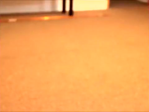Handsfree cum river at the office