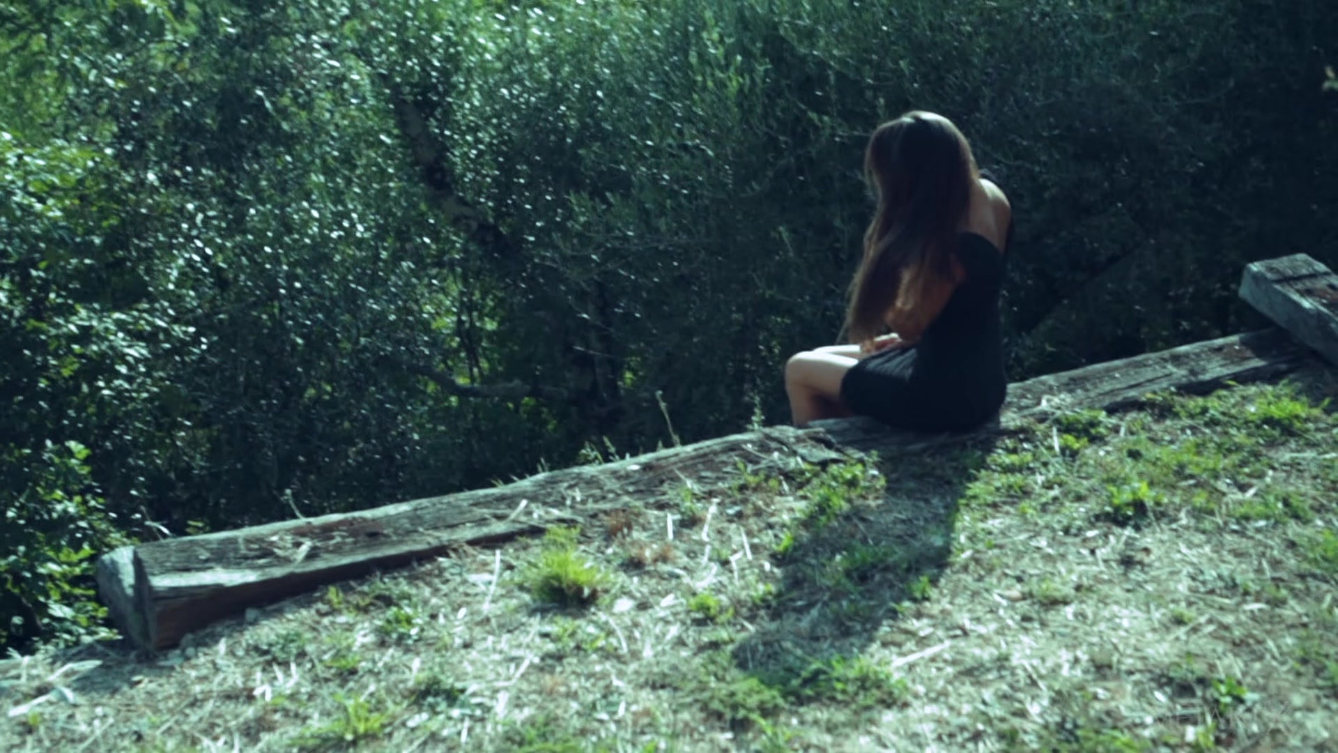 Enjoying Olive Trees 2 - Lorena B - MetartX