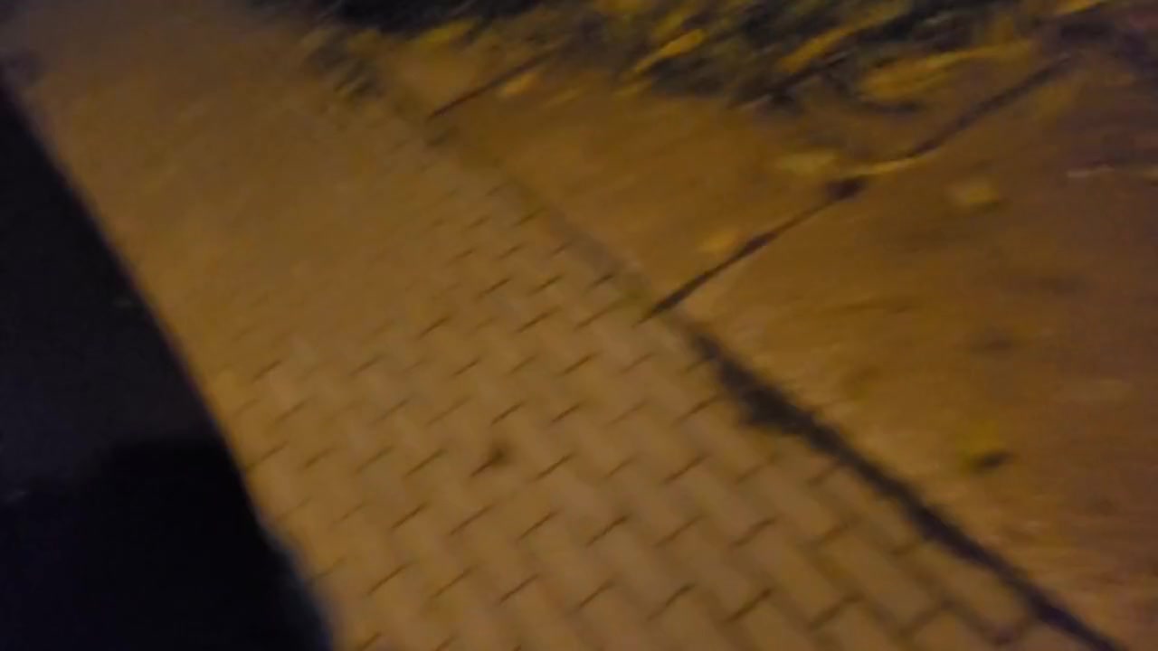 Risky Outdoor Fuck On Our Way Home