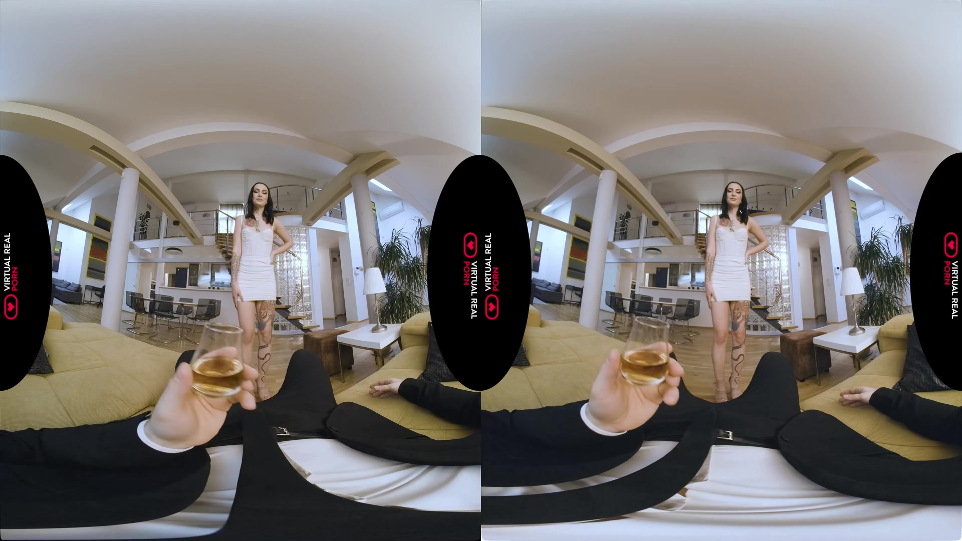 The Girl From the Bar - VirtualRealPorn