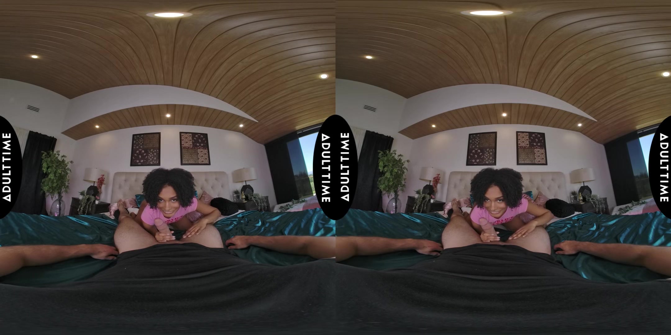 Up Close Vr With Addis Fouche