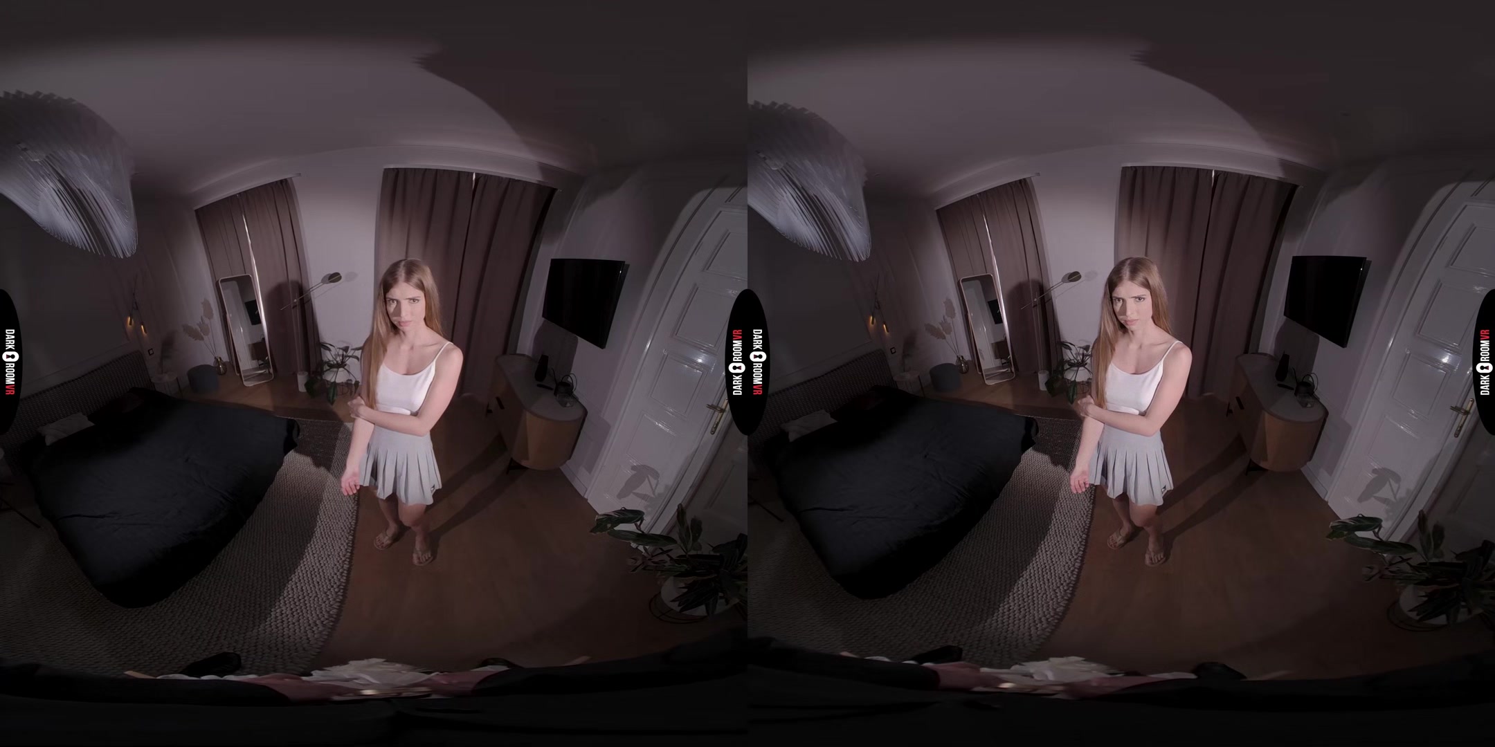 Maid's Job