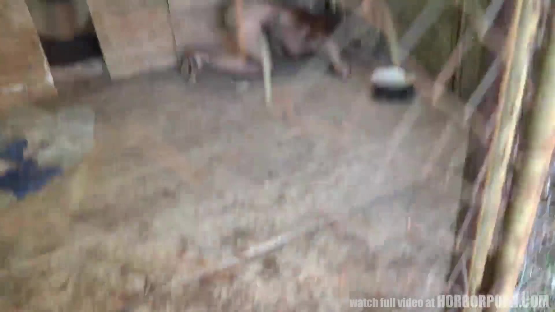 HORRORPORN - Wild Beast