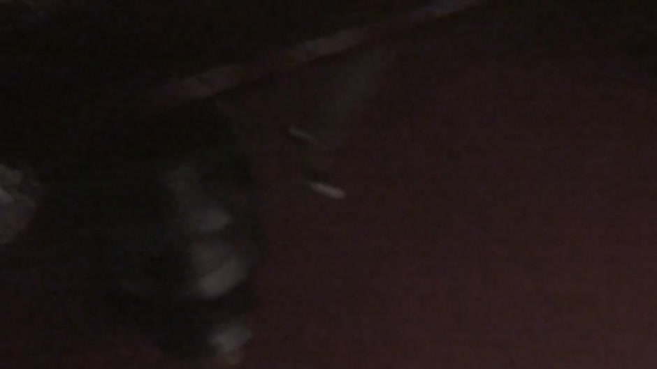 Nickel in homemade porn video with nice cock-sucking