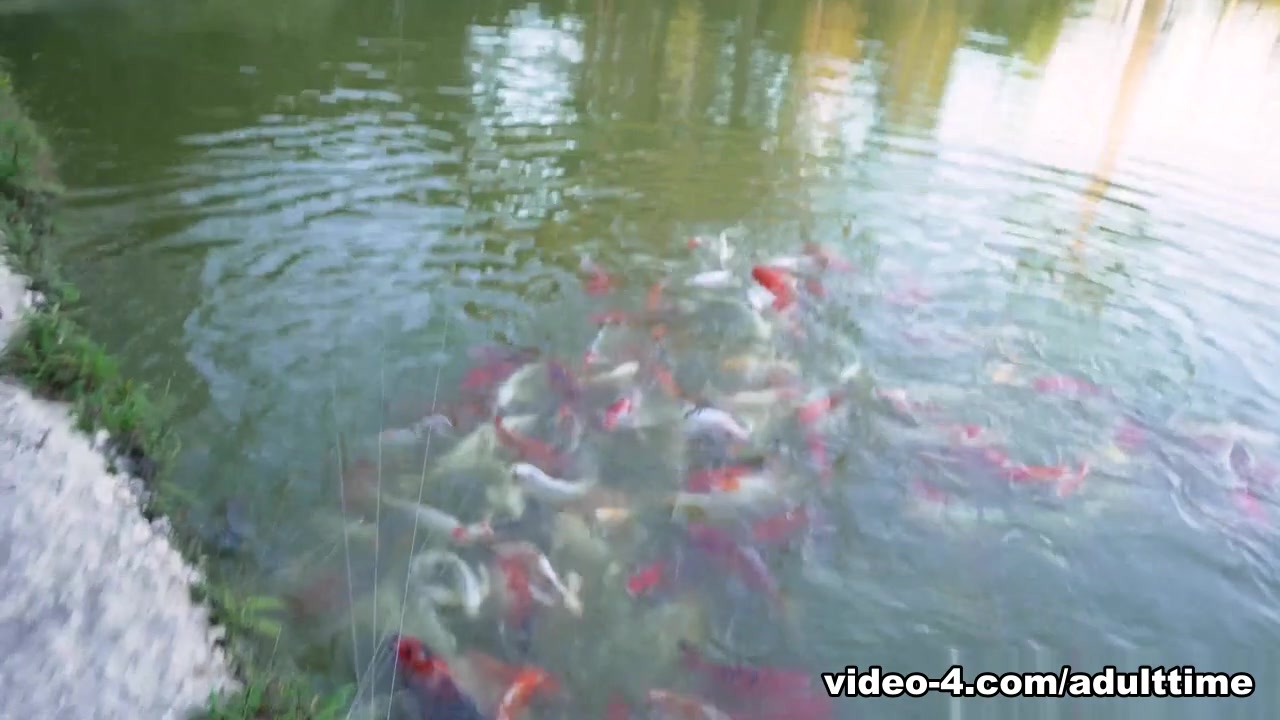 This Modern Mansion Lifestyle Feeding the Koi and Mr Turtle With Amiee Cambridge, Scene #01