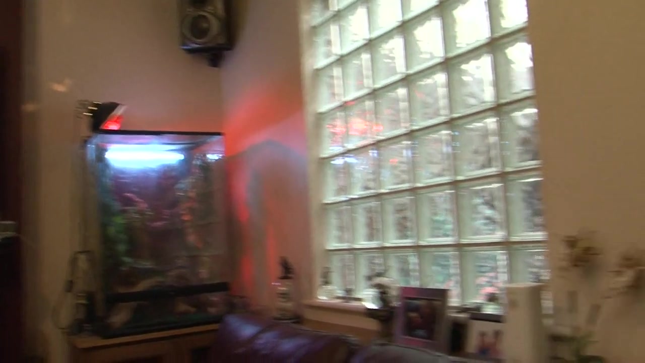 Horny stepsister fucked hard from a big black cock from his stepbrother