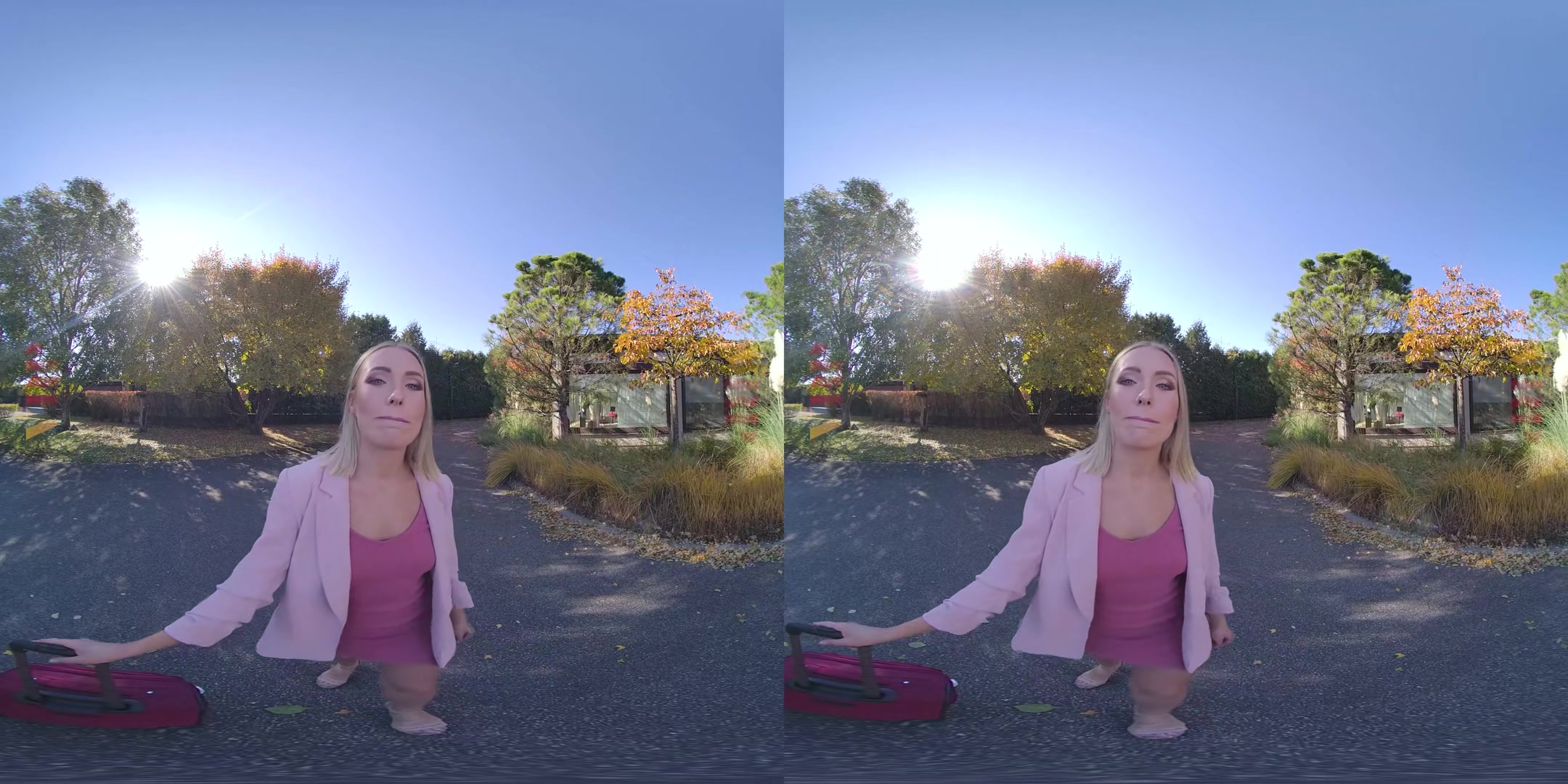 Anal-Ize This 2 - VRPFilms
