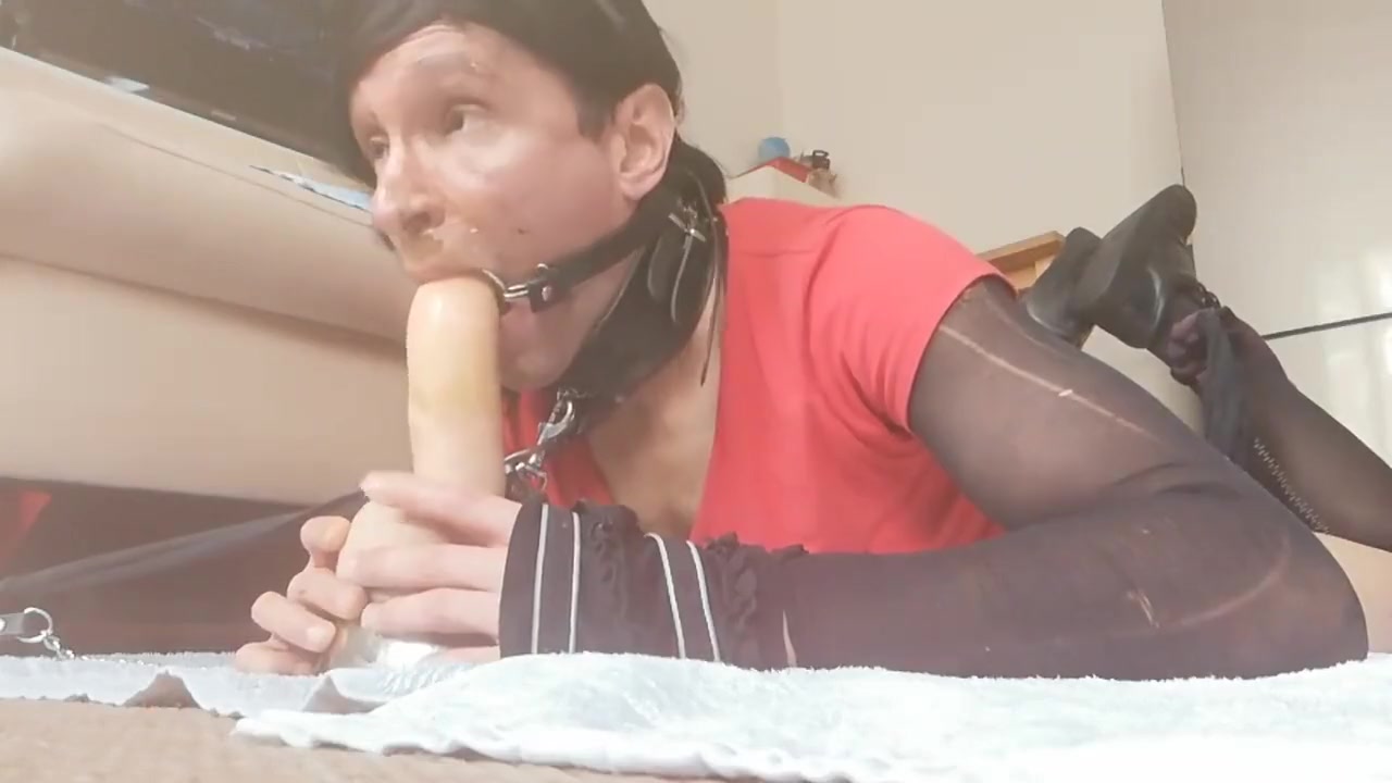 bitch humiliation webcam