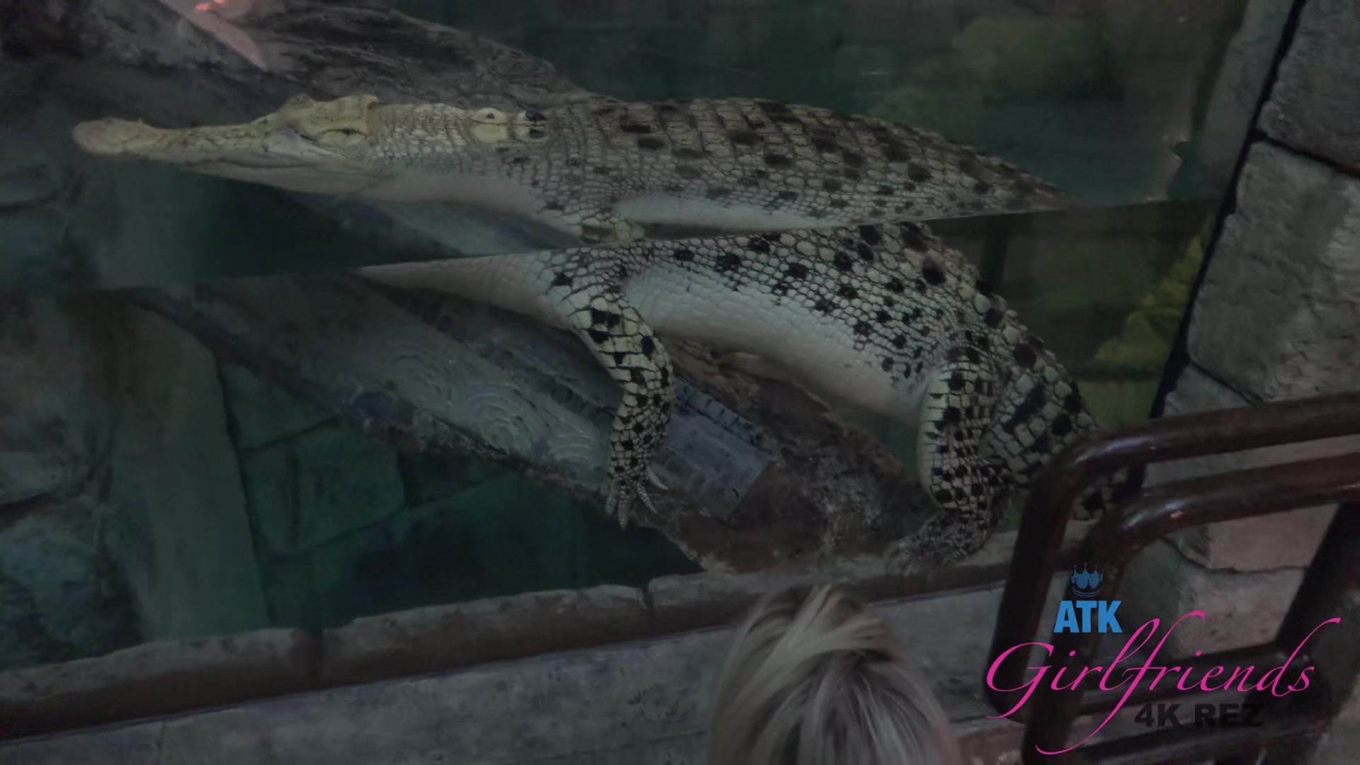 Virtual Vacation In Las Vegas With Khloe Kapri 1/3