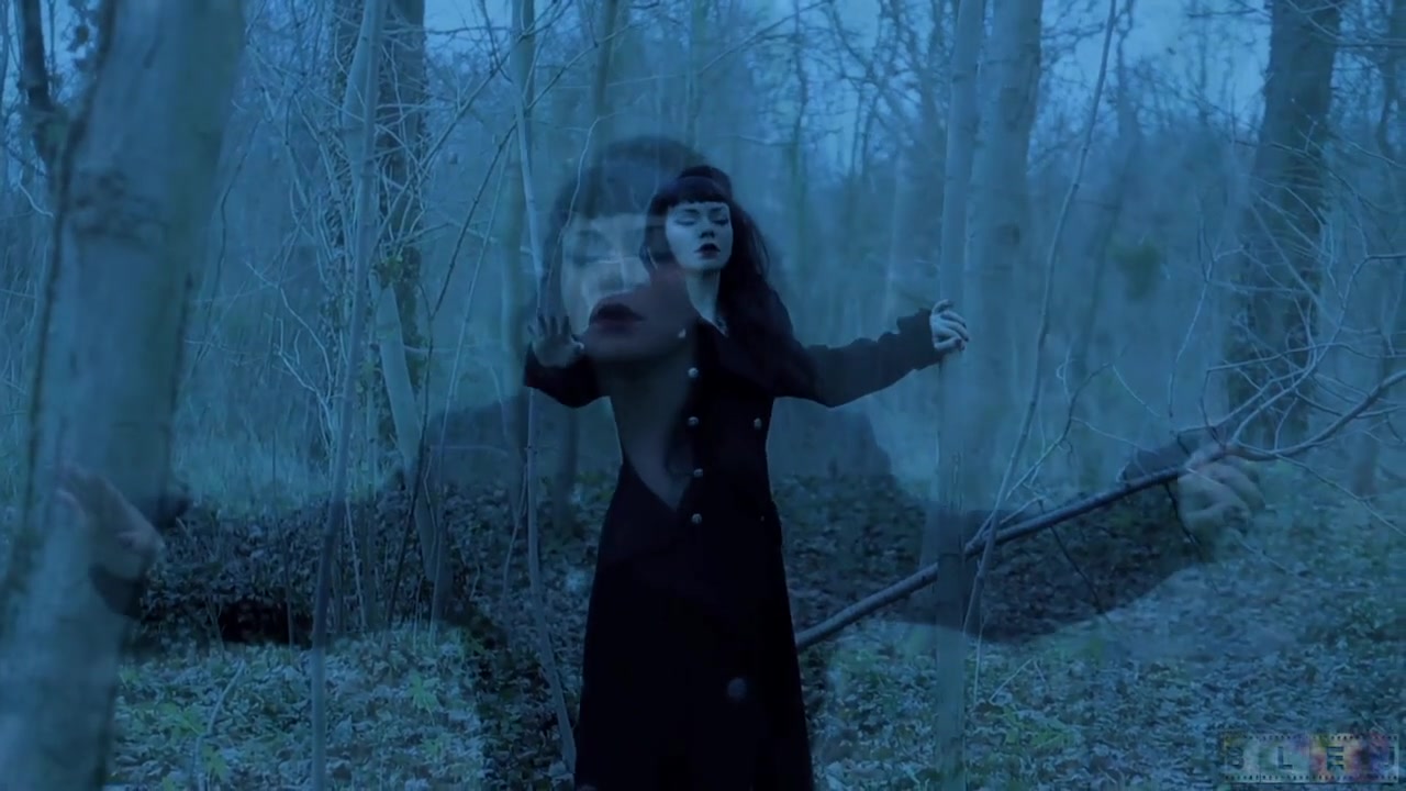 The Black Widow: Chapter Three - KINK