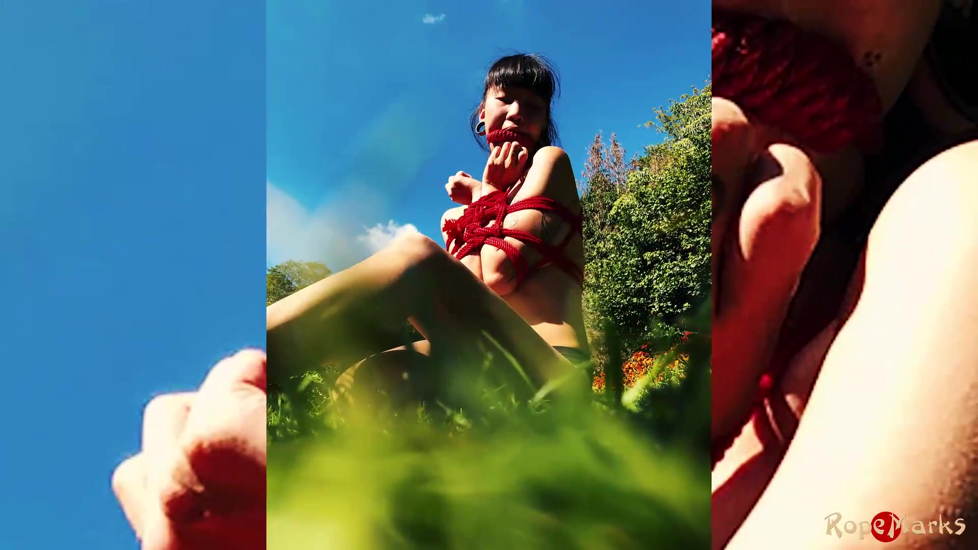 A Flawless Day In The Park - Video