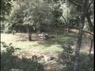 Forest sex with a TS slut