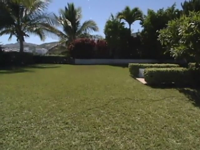 Cabo, the Return. 5