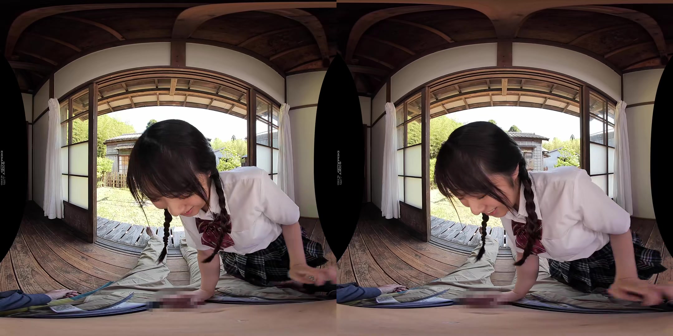Face Licking VR - SodCreate
